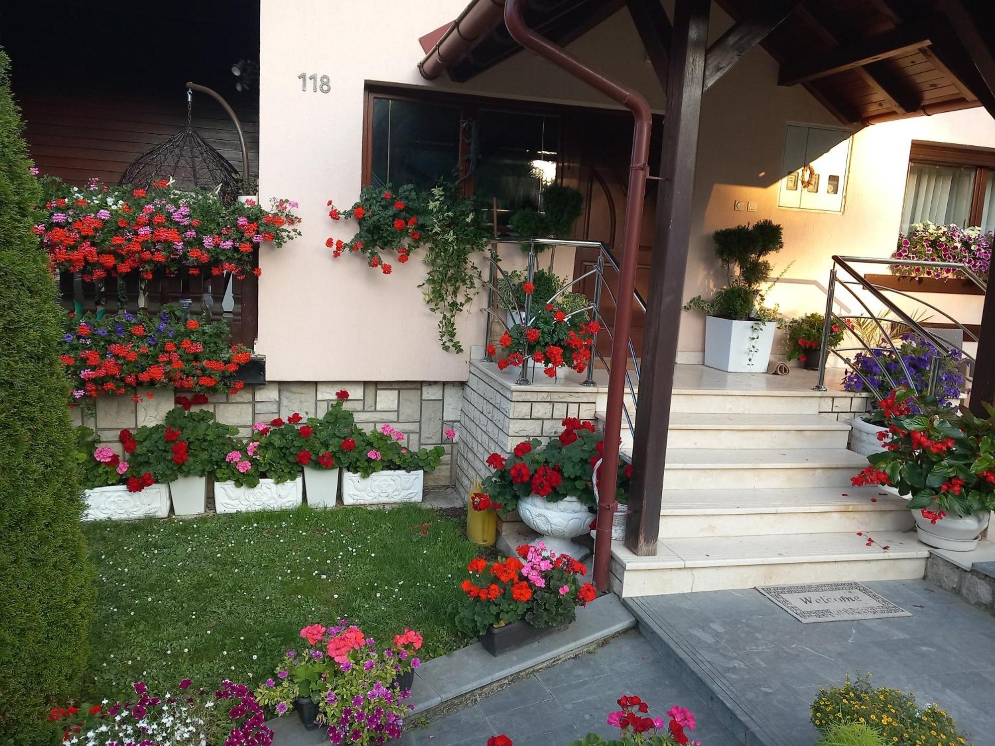 Apartment Vihor 兹拉蒂博尔 外观 照片